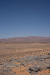 בשארה וסאם: המשימה הישראלית הקרובה שתביא תגלית משנה חיים