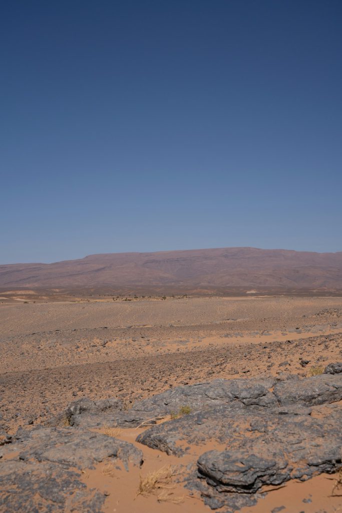 בשארה וסאם: המשימה הישראלית הקרובה שתביא תגלית משנה חיים